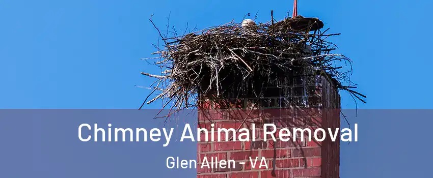  Chimney Animal Removal Glen Allen - VA