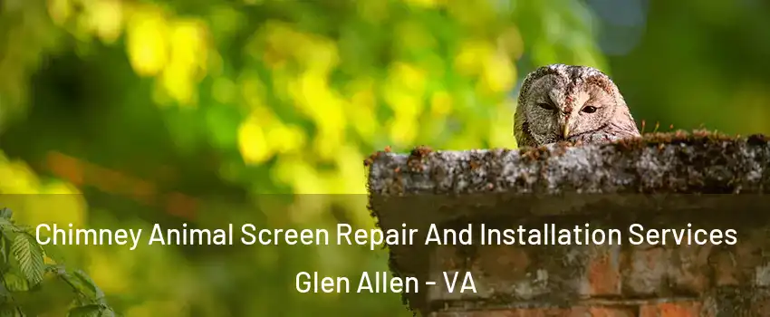  Chimney Animal Screen Repair And Installation Services Glen Allen - VA