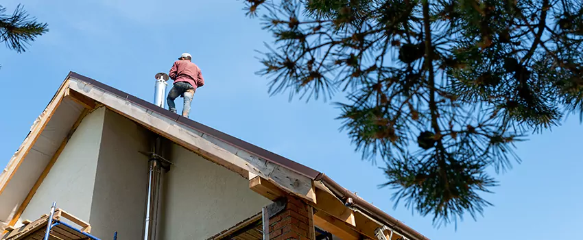 Birds Removal Contractors from Chimney in Glen Allen, VA