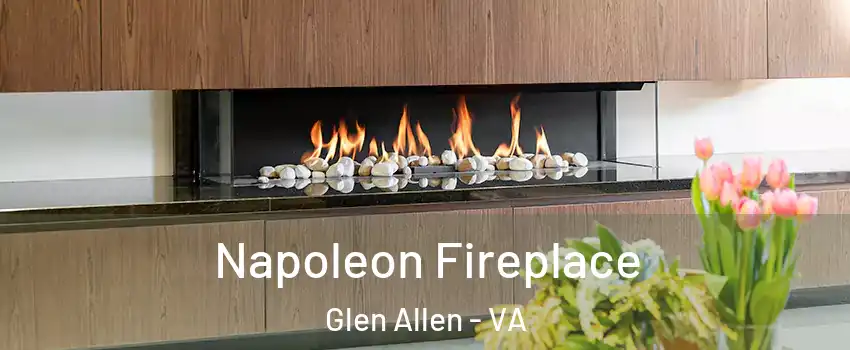  Napoleon Fireplace Glen Allen - VA